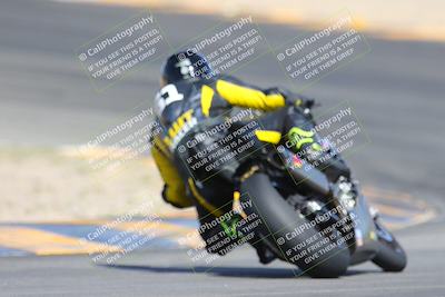 media/Mar-10-2024-SoCal Trackdays (Sun) [[6228d7c590]]/9-Turn 8 Backside (1150am)/